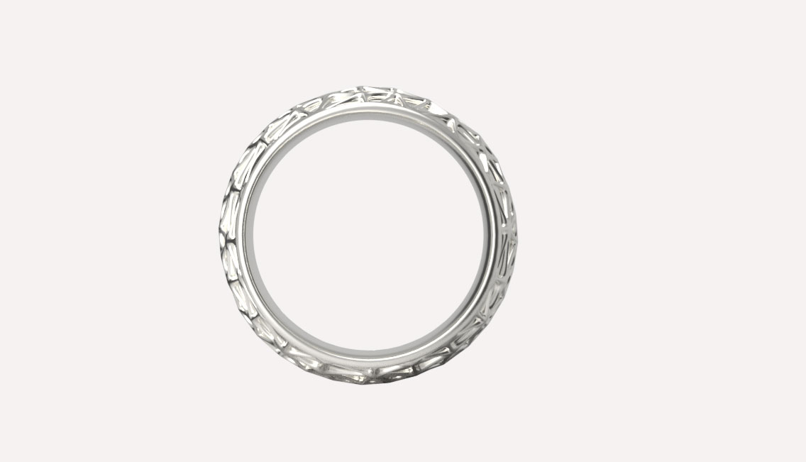 anello Zenith - Vista frontale